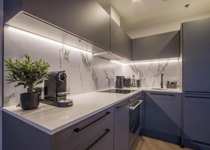 公寓 Skyline 14th Floor *